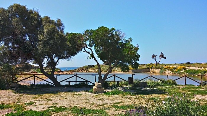 Isola di Mozia - Ab Vacanze Trapani