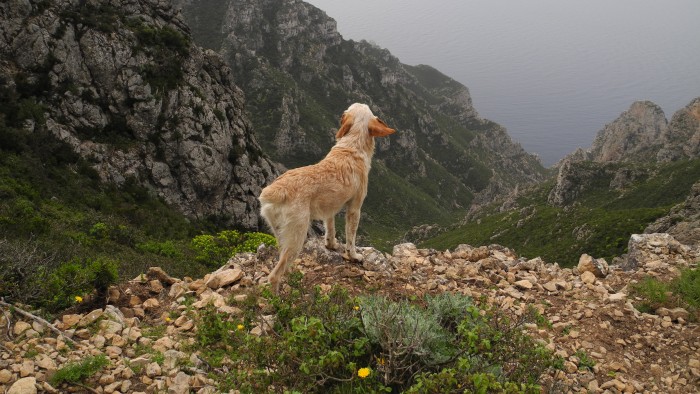 Pizzo Falcone - Isola di Marettimo - Ab Vacanze Trapani