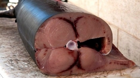 Fotoricetta Involtini di Pesce Spada tipica Siciliana