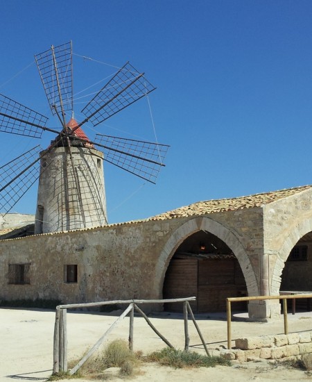 Foto Escursione Saline di Trapani Mulini a vento Flora e Fauna  tour in VAN mezza giornata
