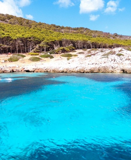Foto Escursione Grotta del Genovese Tour in barca