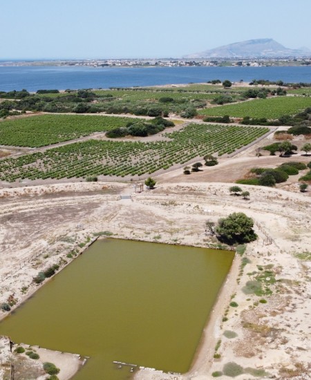 Foto Escursione Mozia, Cantine Florio e Marsala Centro L'isola Fenicia ed il Marsala tour in VAN intera giornata