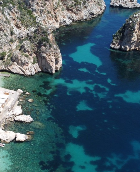 Foto Escursione Scopello, Riserva dello Zingaro e San Vito lo capo Costa Tirrena tour in VAN intera Giornata