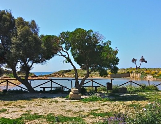 Foto Escursione Isola di Mozia