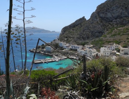 Foto Escursione Isola di Levanzo
