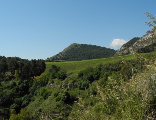 Foto Escursione Monte Pispisa