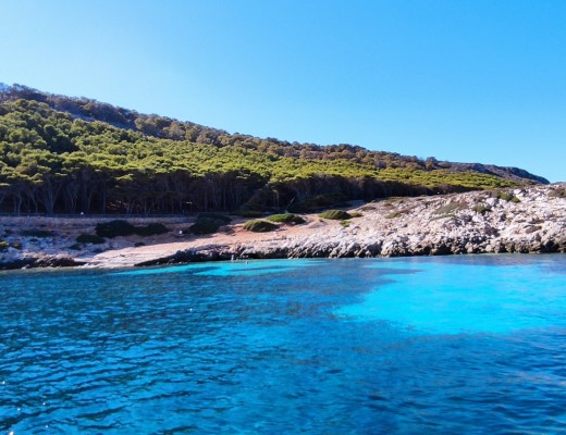 Foto Escursione Cala Minnola - Isola di Levanzo